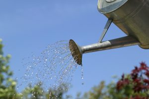 L’irrigazione non Ã¨ solo per i mesi estivi.
