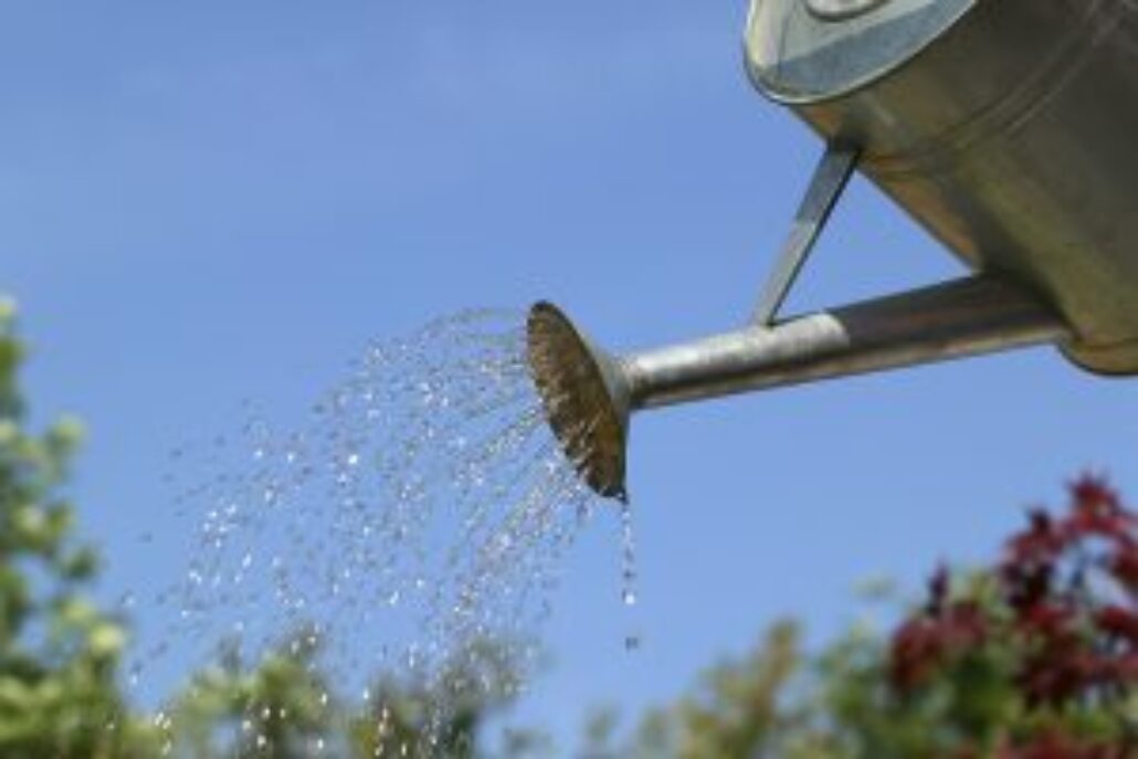 Bigstock Watering The Garden 1602289 300x200