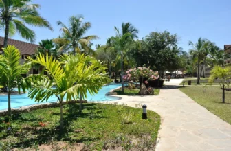 Coltivazione e cura della pianta Areca: guida completa