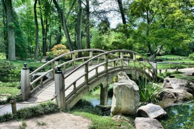 Storia della botanica
