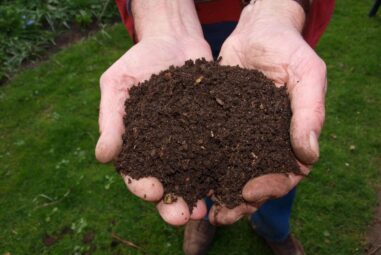 Compostaggio cosa Ã¨? Come si forma…Video
