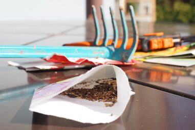 Semina: come allestire e farla per le piante