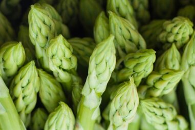 Asparagi, coltivarli nel nostro orto