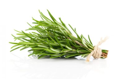 Rosmarino, la regina delle erbe aromatiche