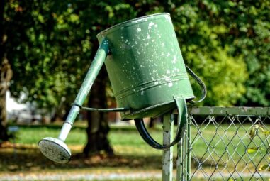 Irrigazione a goccia: economizzare l’acqua in eccesso